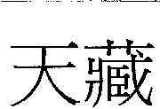 天藏