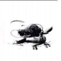 豐騰科技股份有限公司標章圖