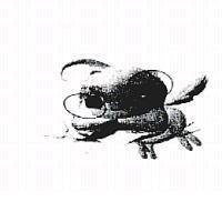 豐騰科技股份有限公司標章圖