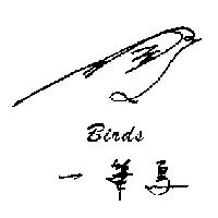 一筆鳥 BIRDS 及圖形