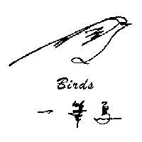 一筆鳥 BIRDS 及圖形
