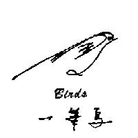 一筆鳥 BIRDS 及圖