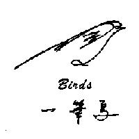 一筆鳥 BIRDS 及圖形