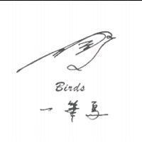 一筆鳥 BIRDS 及圖形