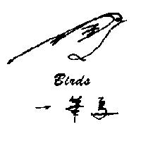 一筆鳥 BIRDS 及圖