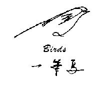 一筆鳥 BIRDS 及圖形
