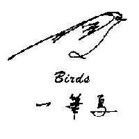 一筆鳥 BIRDS 及圖形