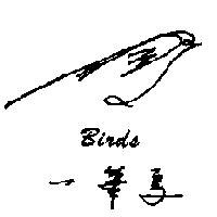 一筆鳥 BIRDS 及圖形