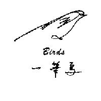 一筆鳥 BIRDS 及圖形