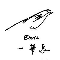 一筆鳥 BIRDS 及圖
