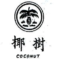 椰樹及圖 COCONUT 