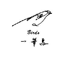一筆鳥 BIRDS 及圖