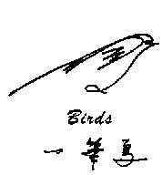 一筆鳥 BIRDS 及圖