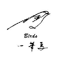 一筆鳥 Birds 及圖形