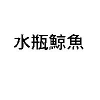 水瓶鯨魚