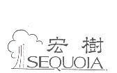 宏樹 SEQUOIA 及圖