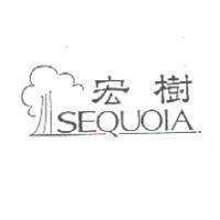 宏樹 SEQUOIA 及圖