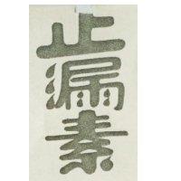 止漏素