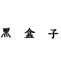 黑盒子
