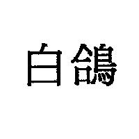 白鴿