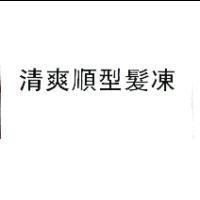 清爽順型髮凍