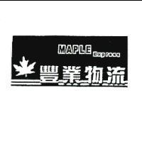 豐業物流及圖 MAPLE Express