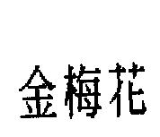 金梅花