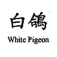 白鴿 White Pigeon