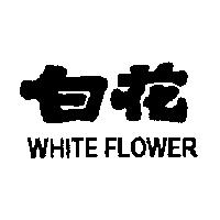 白花 WHITE FLOWER