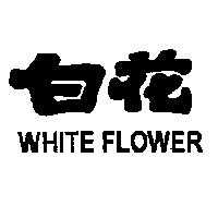 白花 WHITE FLOWER