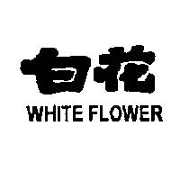 白花 WHITE FLOWER