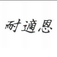 耐適恩