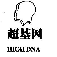 超基因 HIGH DNA 及圖