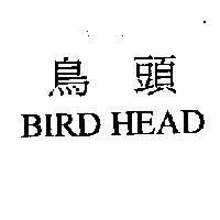 鳥頭 BIRD HEAD
