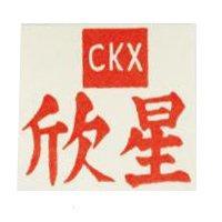 星欣 CKX 及圖
