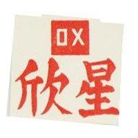 星欣 DX 及圖