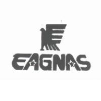 EAGNAS 及圖