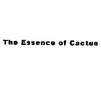 The Essence of Cactus