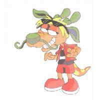 傑克龍 Jacky Dragon 圖案