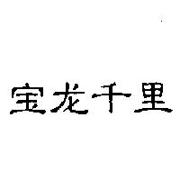 寶龍千里〈簡體字〉