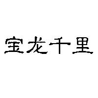 寶龍千里