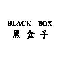黑盒子 BLACK BOX
