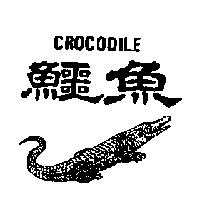 鱷魚及圖 CROCODILE
