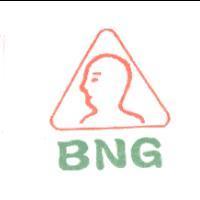BNG 及圖