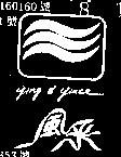 風采及圖 YING – YINCE 