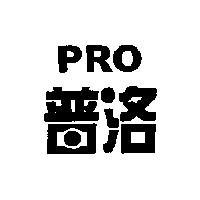 普洛 PRO