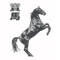寶馬及圖