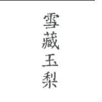 雪藏玉梨