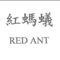 紅螞蟻 RED ANT