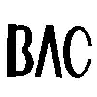BAC 設計圖